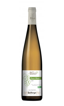 Pinot Blanc Bio* 2022