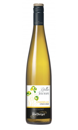 Chasselas Belle Saison 2023