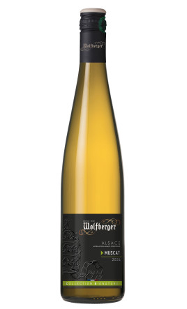 Muscat Collection Signature 2024