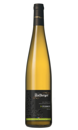 Sylvaner Collection Signature 2024