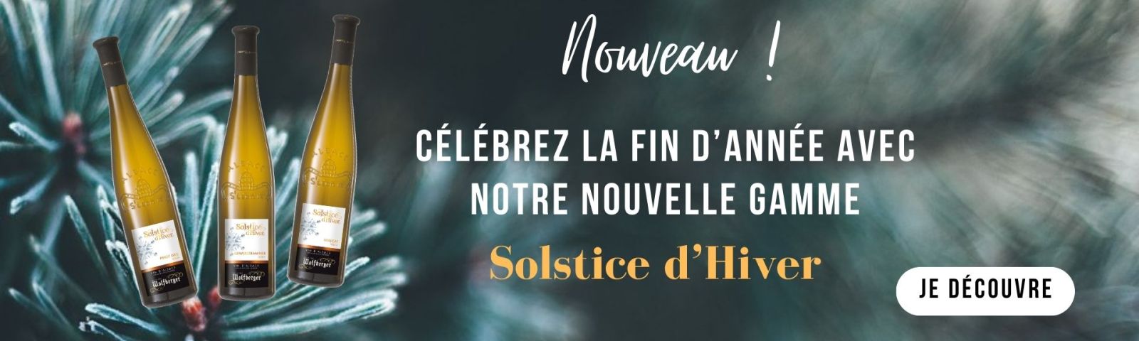 Solstice 2023