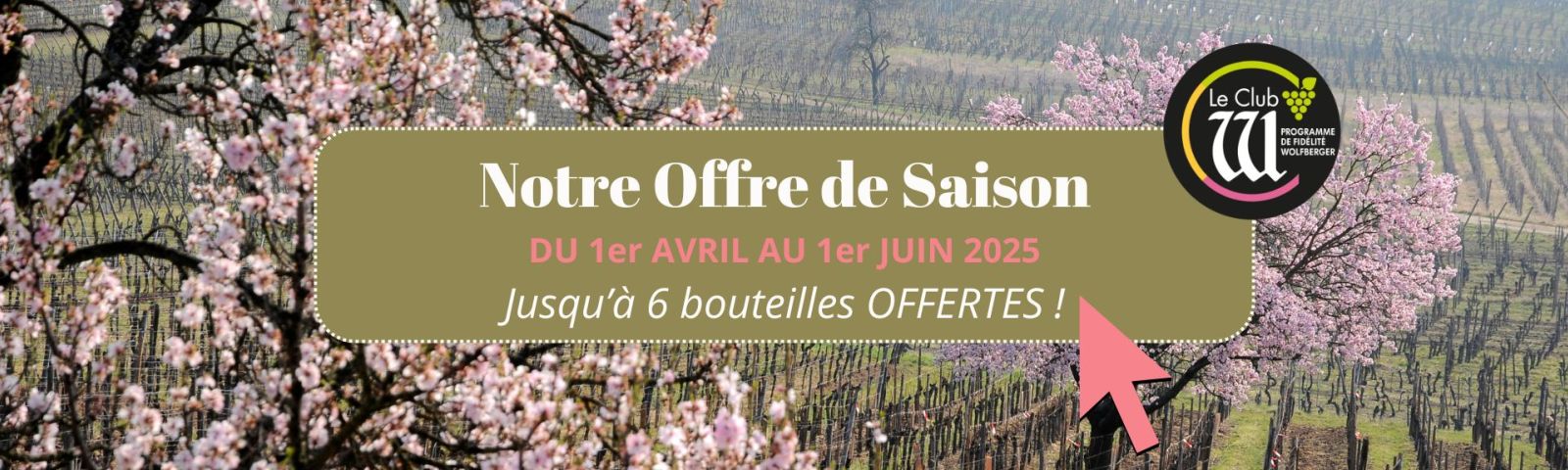 OFFRE DE SAISON PRINTEMPS 2025