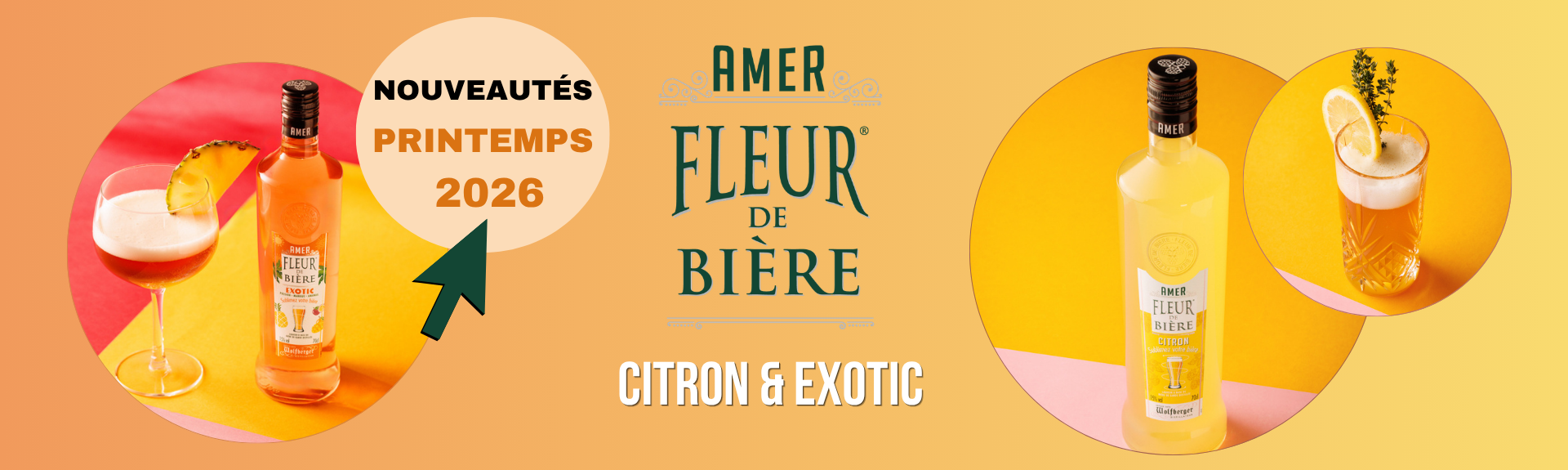 NOUVEAUTES ! AMERS Fleur de Bière CITRON et EXOTIC